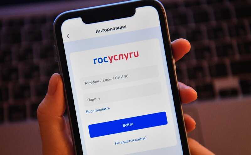 В России введут «красную кнопку» для жалоб на мошенников через «Госуслуги»